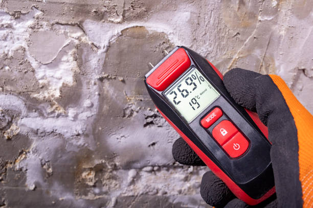 Best Local Mold Removal Service  in Swepsonville, NC