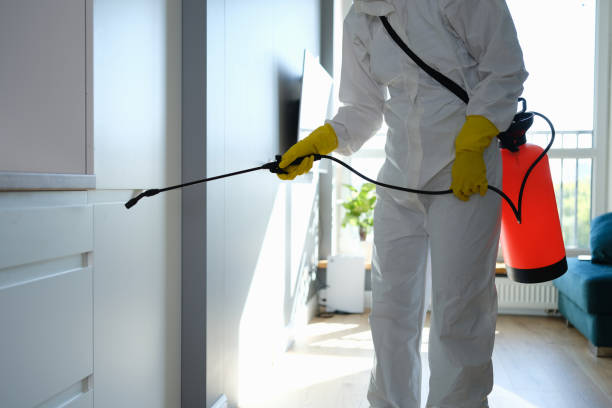 Trusted Swepsonville, NC Mold Removal Experts