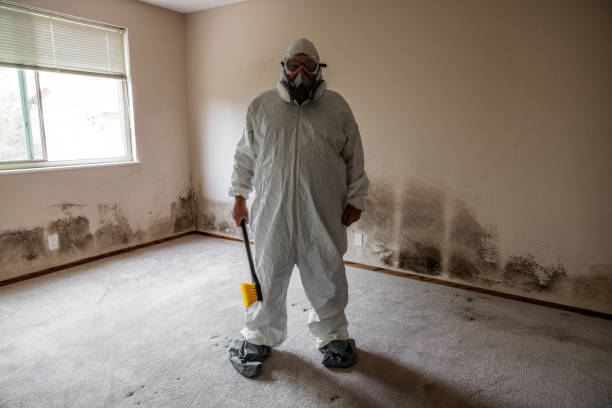 Best Certified Mold Removal  in Swepsonville, NC